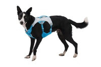 Ruffwear Swamp Cooler™ Cooling Harness
